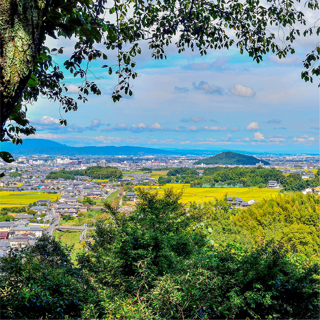 Landscapes Protected by the Asuka Law