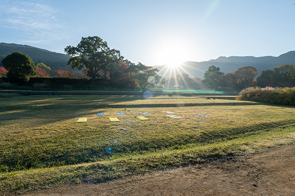 Early Morning Yoga in Asuka