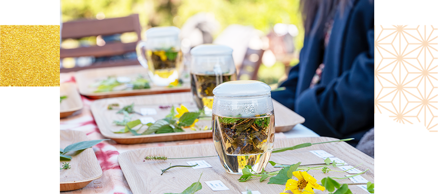 Herbal Tea Workshop & Seasonal Breakfast Inspired by the Imperial Herb-Gathering Ritual