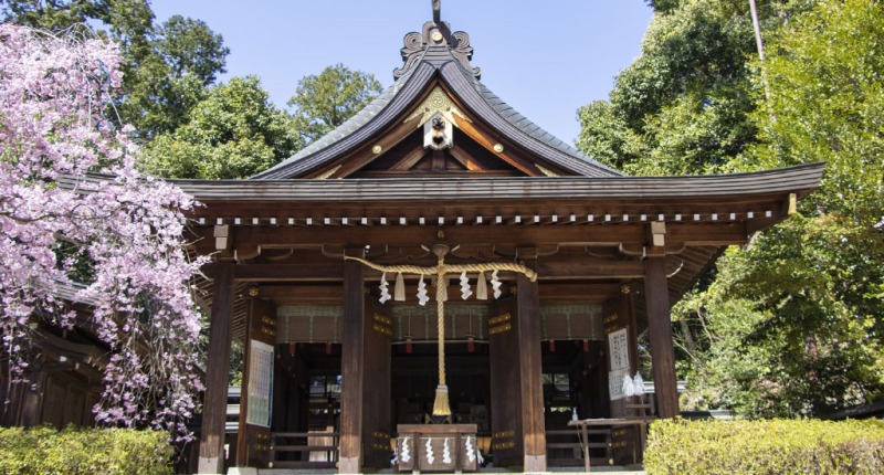 asukaniimasujinja