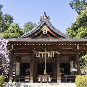 奈良県明日香村の飛鳥坐神社