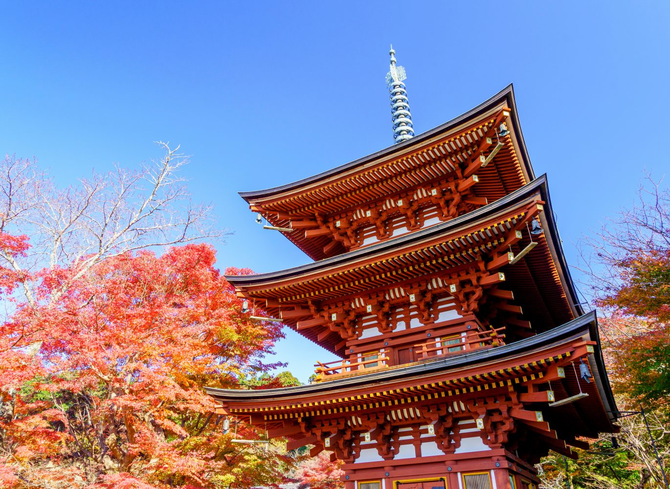 A special experience in Asuka in autumn.