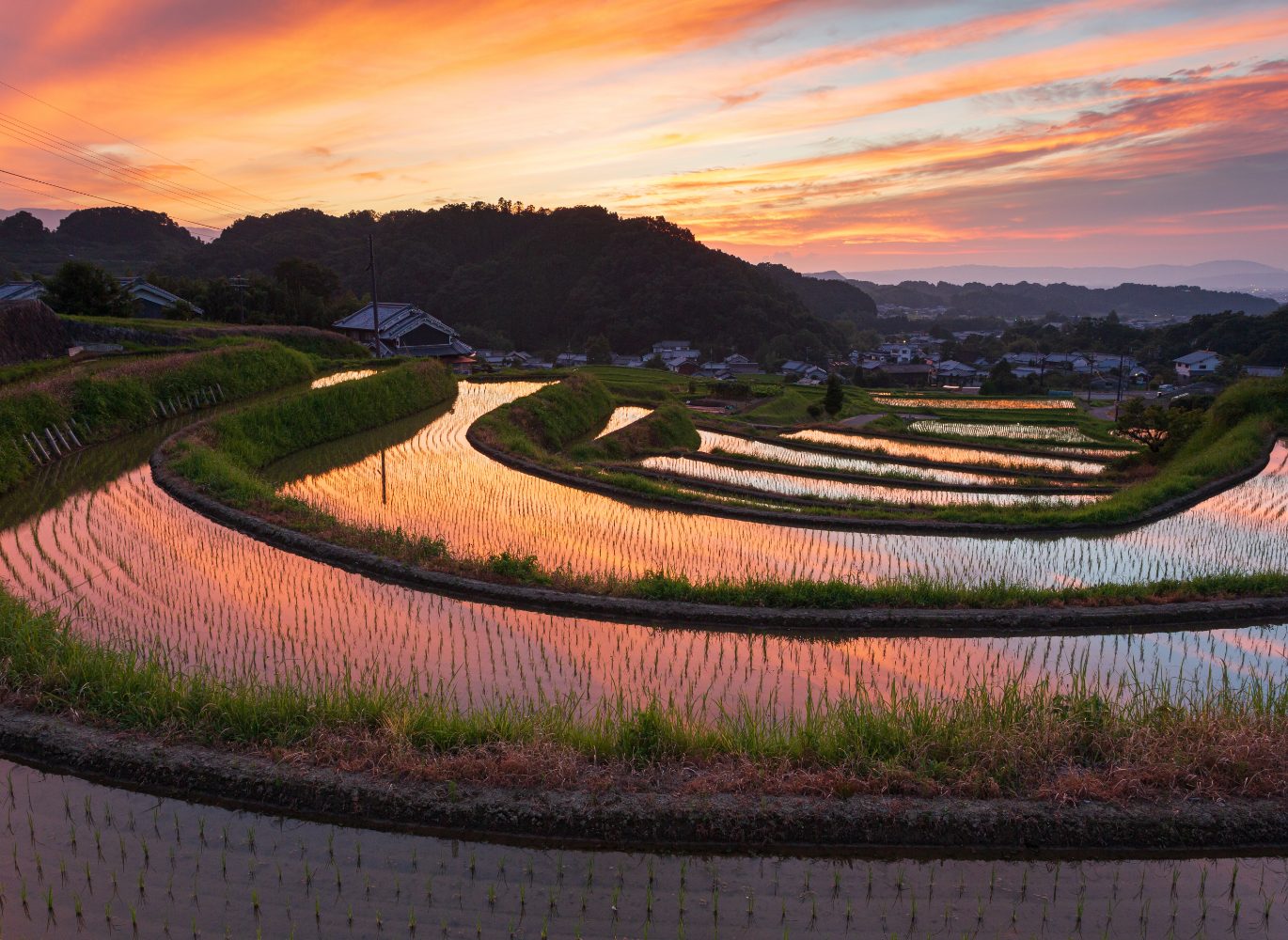 A special experience in Asuka in summer.