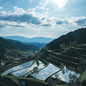 Rice terraces in Asuka Village, Nara Prefecture