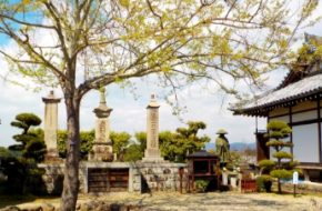 Tachibana Temple in Asuka Village, Nara Prefecture