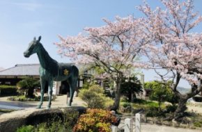 Tachibana Temple in Asuka Village, Nara Prefecture