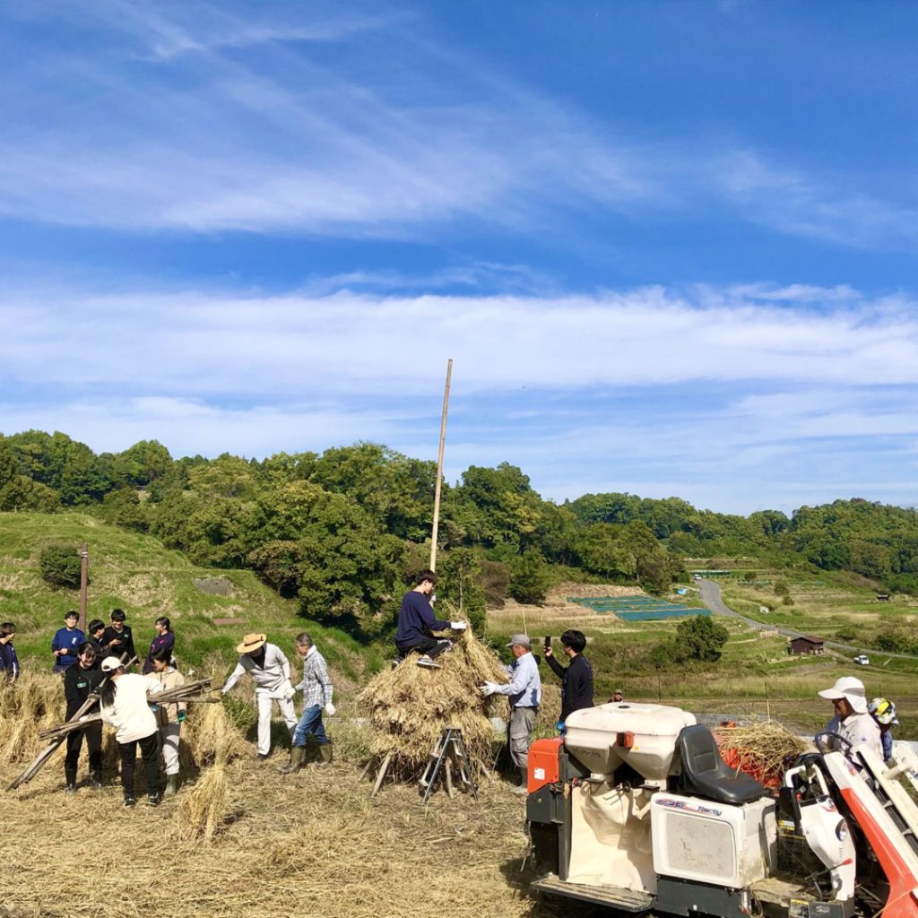 棚田での田植えや稲刈り体験